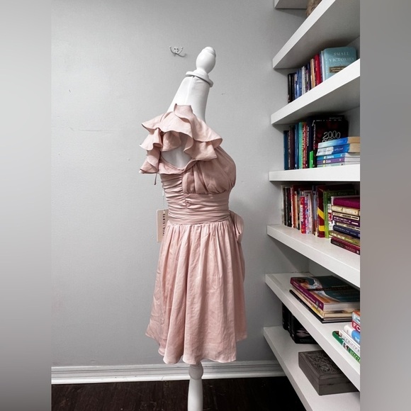 Saints & Secrets Blush Satin Dress Size Small NWT - Picture 7 of 16